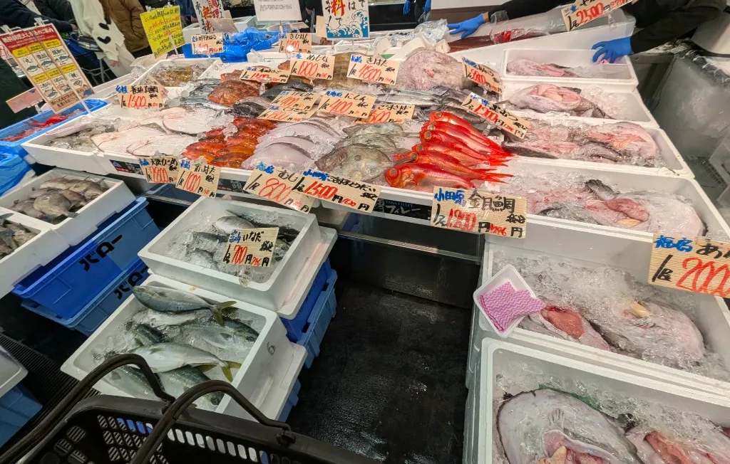 氷の上に丸魚が並ぶ対面コーナー(小田原産金目鯛・あんこう等)