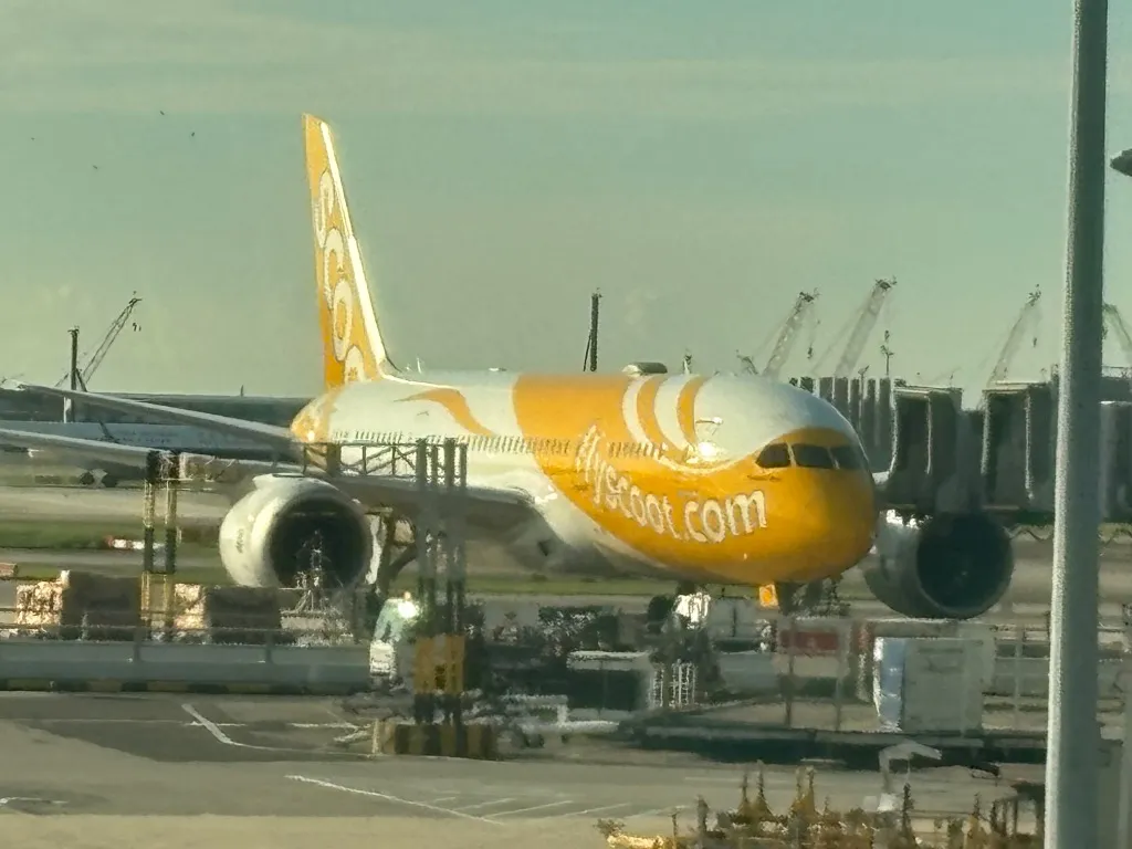 シンガポール直行便スクート(Scoot)のボーイング787 ドリームライナー