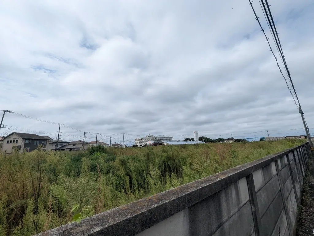 ブロック塀越しに見たバロー戸塚区東俣野町店予定地の敷地内部(草木が生い茂る着工前の様子)